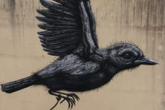 ROA i Nässjö 06