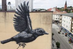 ROA i Nässjö 07